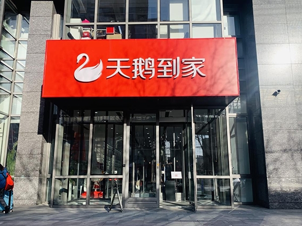 天鹅到家